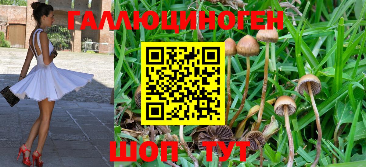 Гагарин  сколько стоит  Вход с VPN  Галлюциногенные грибы мицелий 