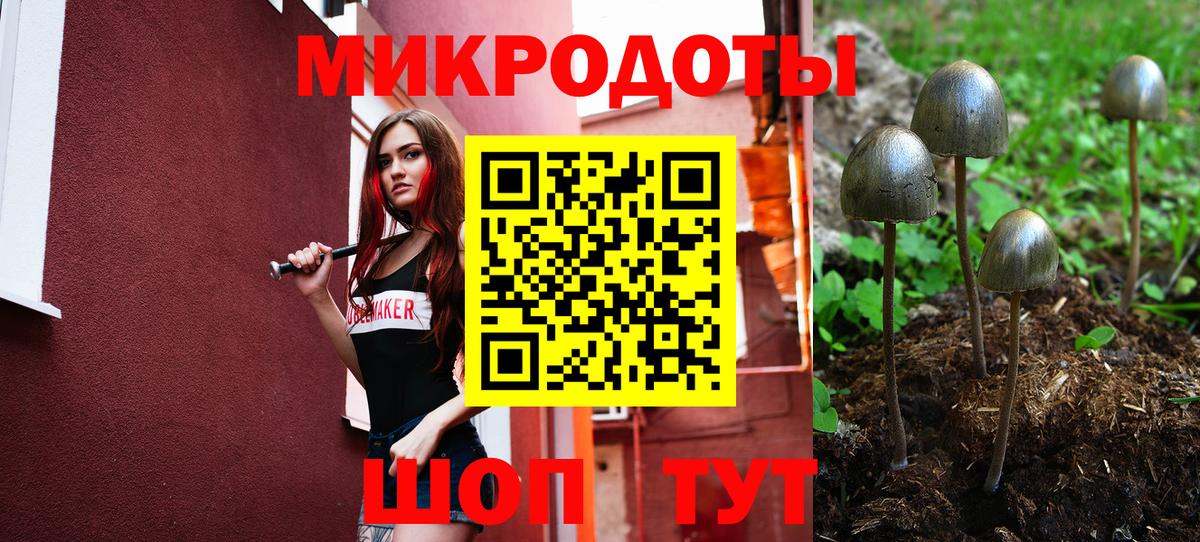 Галлюциногенные грибы Psilocybe Гагарин